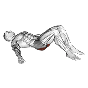 Low Glute Bridge On Floor demonstration animation