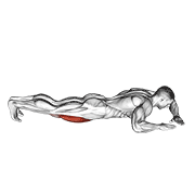 Lying Quad Stretch demonstration animation