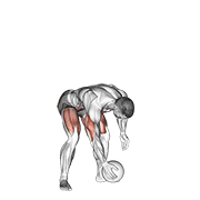 Medicine Ball Chest Push From 3 Point Stance demonstration animation