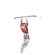 Muscle Up On Vertical Bar demonstration animation