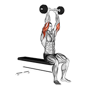 Olympic Barbell Triceps Extension demonstration animation