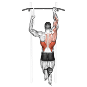 One Arm Chin Up demonstration animation