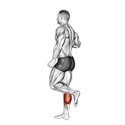 One Leg Floor Calf Raise demonstration animation