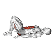 Pelvic Tilt demonstration animation