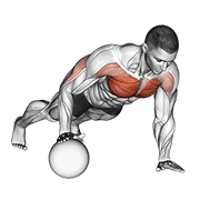 Push Up Medicine Ball demonstration animation