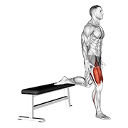 Quads demonstration animation