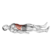 Quarter Sit Up demonstration animation