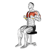 Resistance Band Seated Chest Press demonstration animation