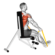 Resistance Band Seated Straight Back Row demonstration animation