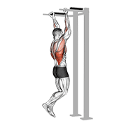 Reverse Grip Pull Up demonstration animation