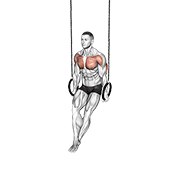 Ring Dip demonstration animation