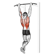 Rocky Pull Up Pulldown demonstration animation