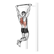 Scapular Pullup demonstration animation