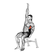 Seated Lower Back Stretch demonstration animation