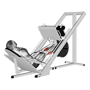 Sled Calf Press On Leg Press demonstration animation