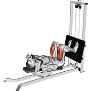 Sled Lying Squat demonstration animation
