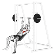 Smith Incline Shoulder Raises demonstration animation