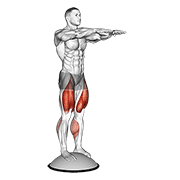 Squat On Bosu Ball demonstration animation