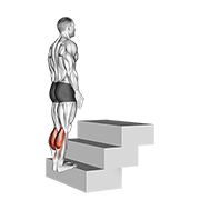 Standing Calf Raise On A Staircase demonstration animation