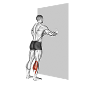 Standing Calves demonstration animation