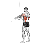 Straight Arm Pulldown demonstration animation