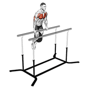 Straight Bar Dip demonstration animation