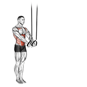 Suspended Abdominal Fallout demonstration animation