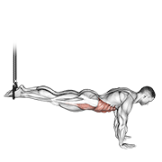 Suspended Reverse Crunch demonstration animation