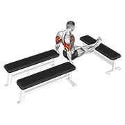 Three Bench Dip demonstration animation