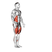 Walking Lunge With Twist demonstration animation