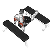 Weighted Bench Dip demonstration animation