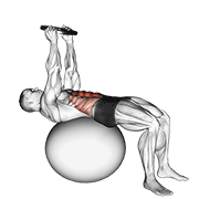 Weighted Overhead Crunch On Stability Ball demonstration animation
