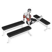 Weighted Three Bench Dips demonstration animation