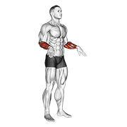 Wrist Circle demonstration animation